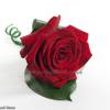 grandprix rose buttonhole (2)